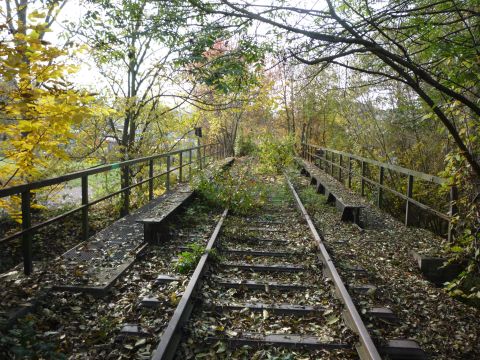 Br�cke �ber die Zaber