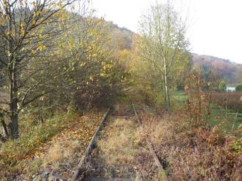 Zwischen Laufen und Hausen