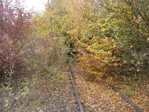 Haltestelle Frauenzimmern-Cleebronn