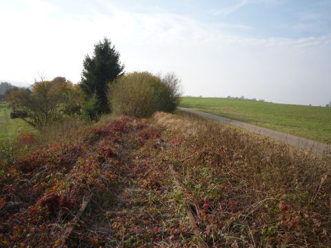 Zwischen Zaberfeld und Leonbronn