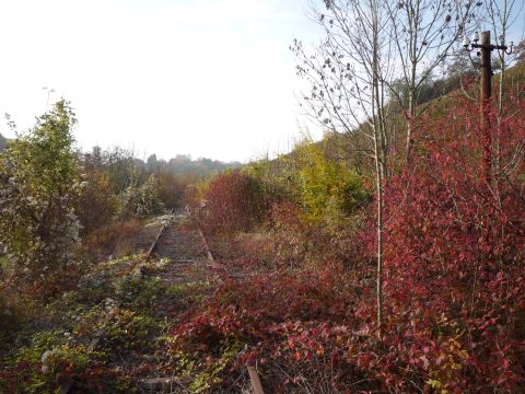 Zwischen Zaberfeld und Leonbronn