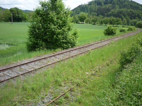 Einfahrt in den Bahnhof Schnberg