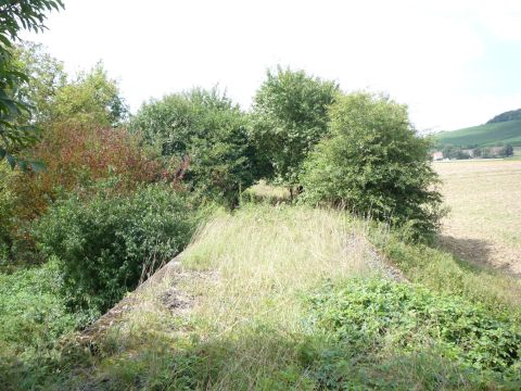 Brcke ber die Rippach