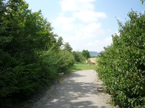 Zwischen Rttingen und Tauberrettersheim
