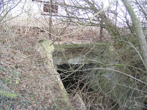 Bachduchl�sse hinter D�rnau