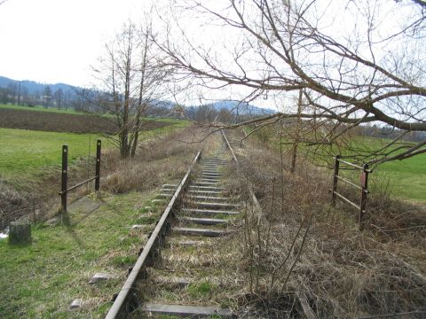 Bachduchl�sse hinter D�rnau