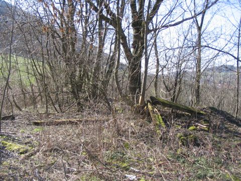 Prellbcke Weienstein