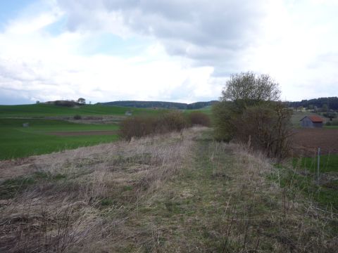 Zwischen Altenstadt und Schongau