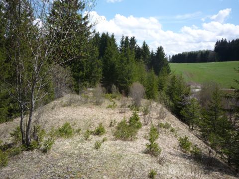 Ehemalige Brcke ber der Strae von Ingenried nach Schwabbrck