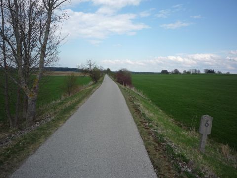 Zwischen Mauerstetten und Linden