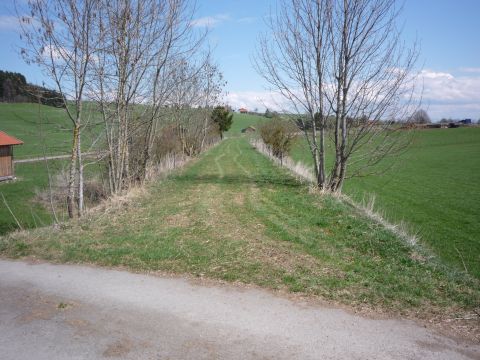 Zwischen Osterzell und Sachsenrieder Forst
