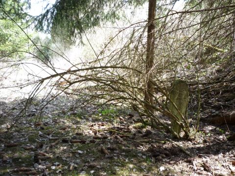 Zwischen Sachsenried und Schwabbruck