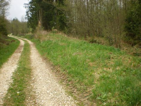 Abzweig der Trasse zum Depot