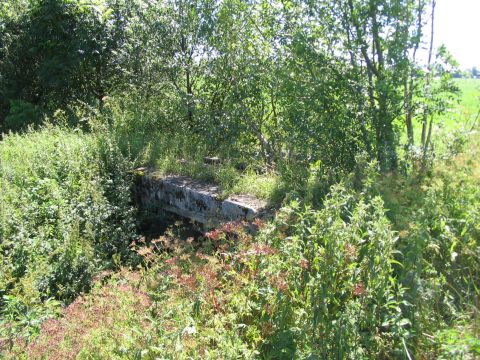 Brcke ber einen Waldweg