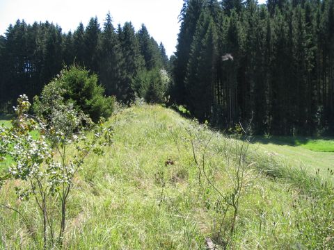 Zwischen Schnerzhofen und Ettringen