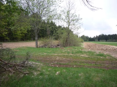 Ehemalige Feldwegbrcke