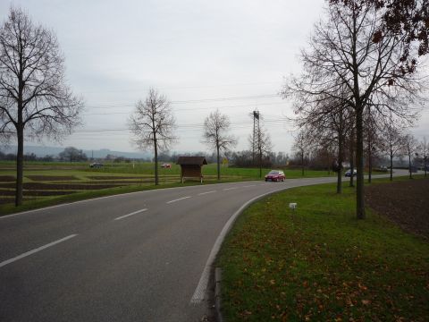 Zwischen Allmansweier und Langenwinkel