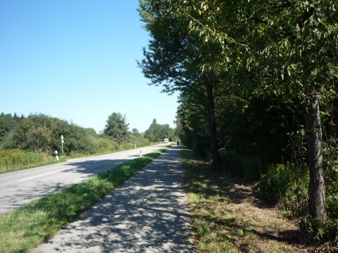 Zwischen Auenheim und Leutesheim