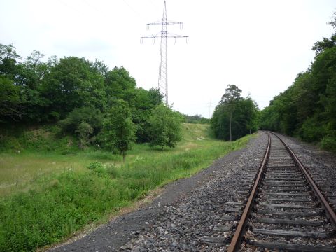 Zwischen Iffezheim und Rastatt bergabebahnhof