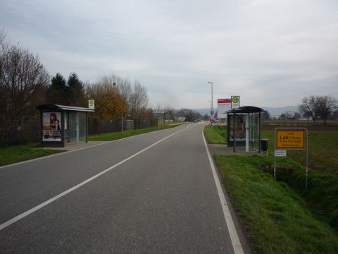 Zwischen Langenwinkel und Lahr-Dinglingen