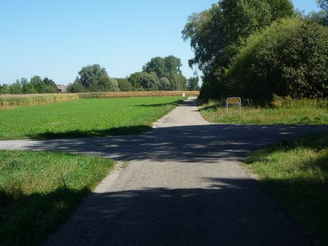 Zwischen Leutesheim und Honau