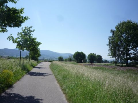 Einstige Schmalspurtrasse zwischen Vimbuch und der Br�cke �ber den Sandbach