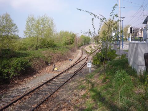 Rheinhafen